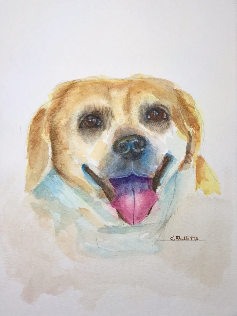 Pure Joy Original Watercolor Dog Portrait by Carolyn Falletta 9x12